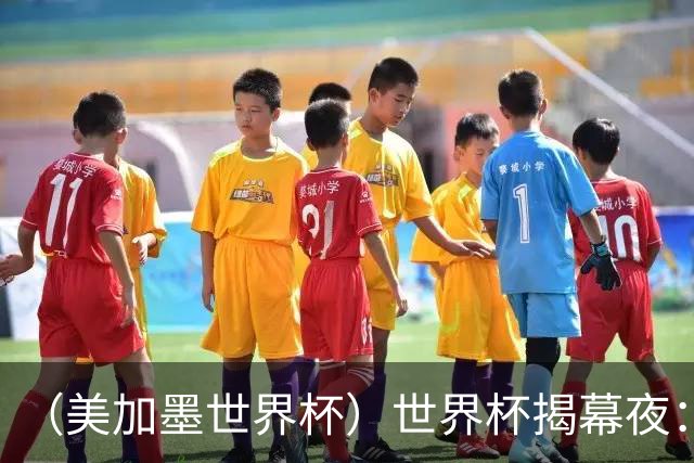 （美加墨世界杯）世界杯揭幕夜：呜呜祖拉在南非响起